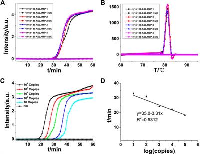 Asymmetric stem-loop–mediated isothermal amplification of nucleic acids for DNA diagnostic assays by simple modification of canonical PCR primers